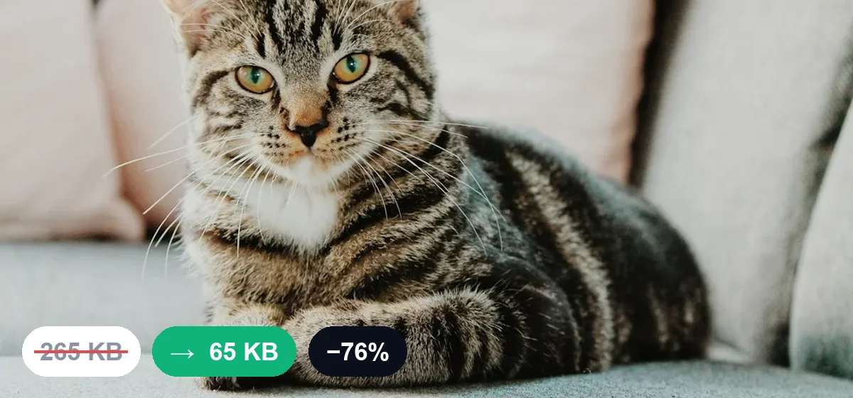 Image Compressor example result