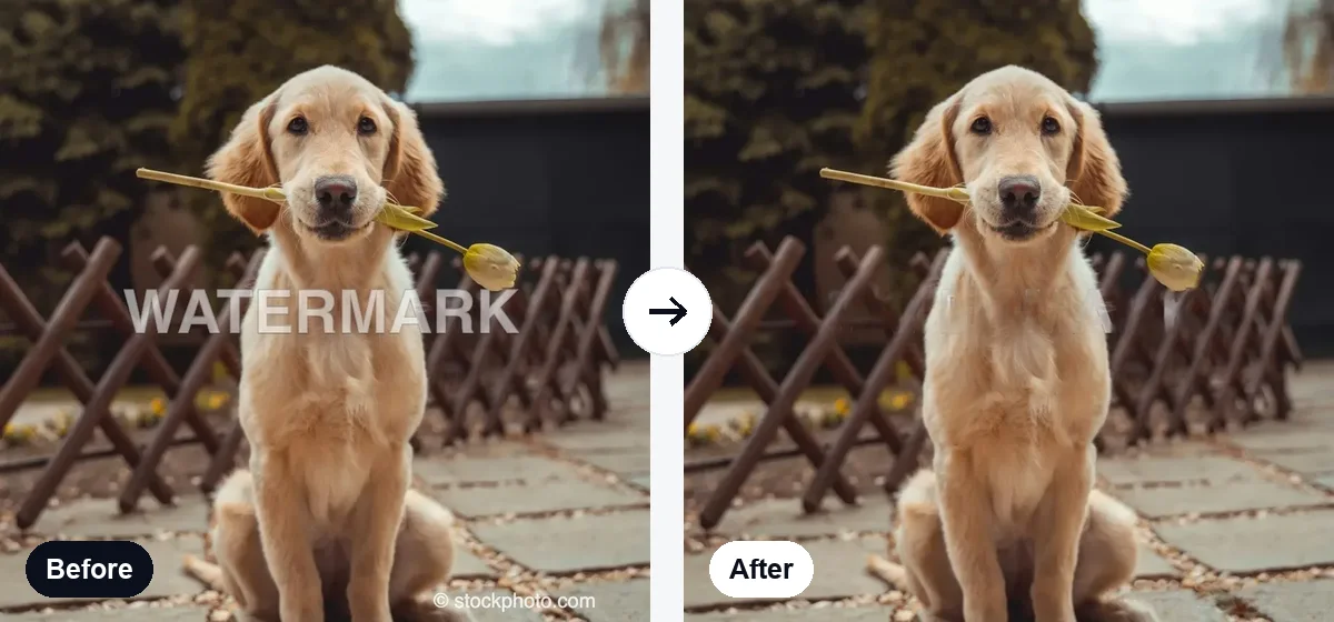 Watermark Remover example result